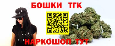 прущие грибы Кандалакша