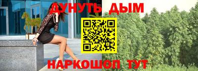 прущие грибы Кандалакша