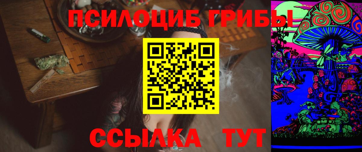 Димитровград  Псилоцибиновые грибы мухоморы  купить наркотики цена  Вход с VPN 