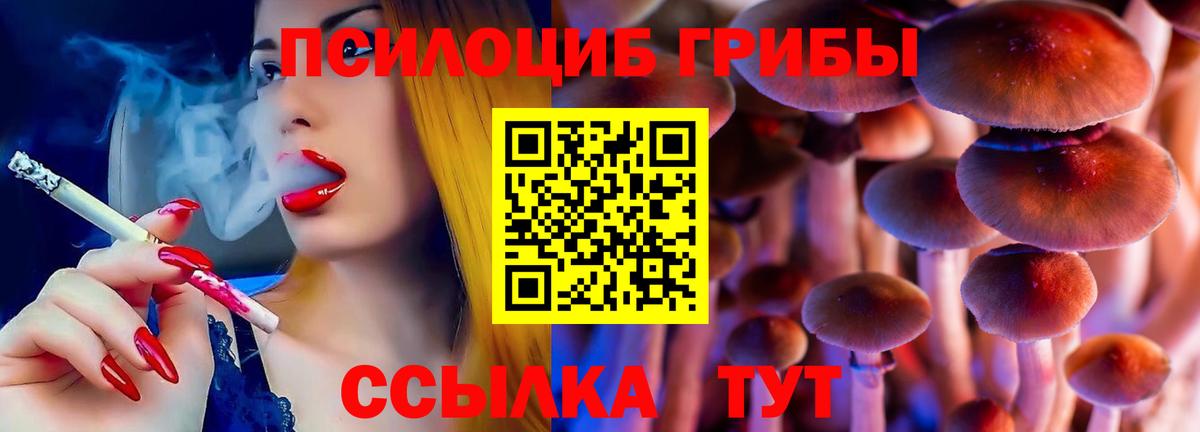 Псилоцибиновые грибы мухоморы Димитровград